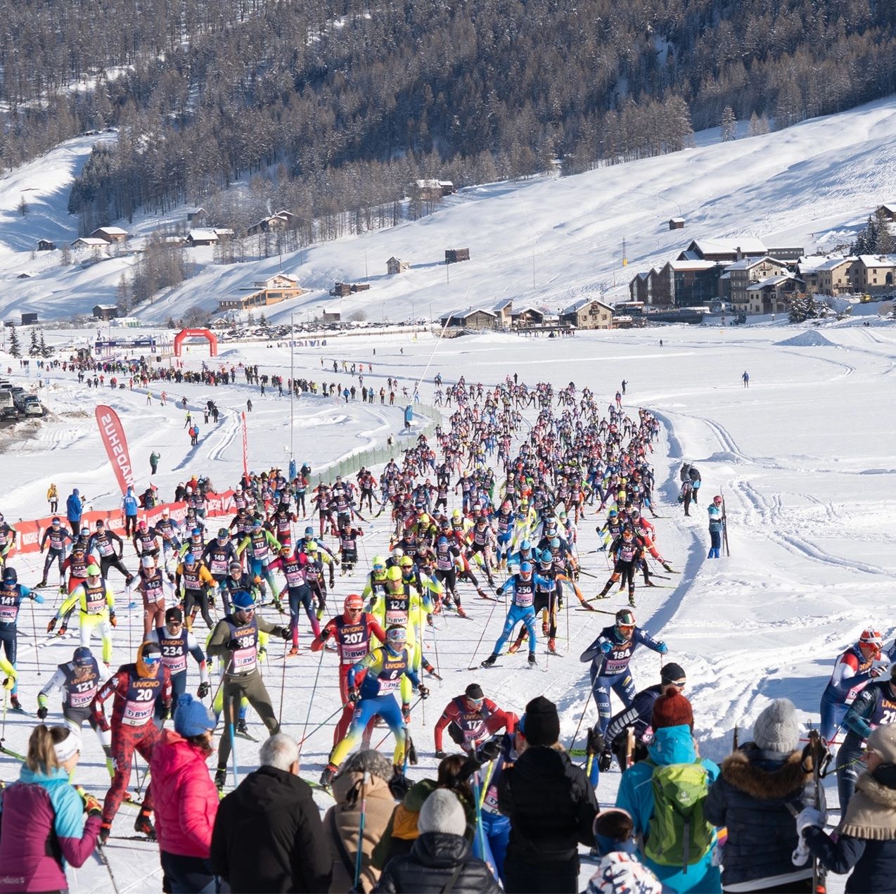 Official Announcement